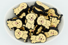 Load image into Gallery viewer, Golden Retriever/Doodle